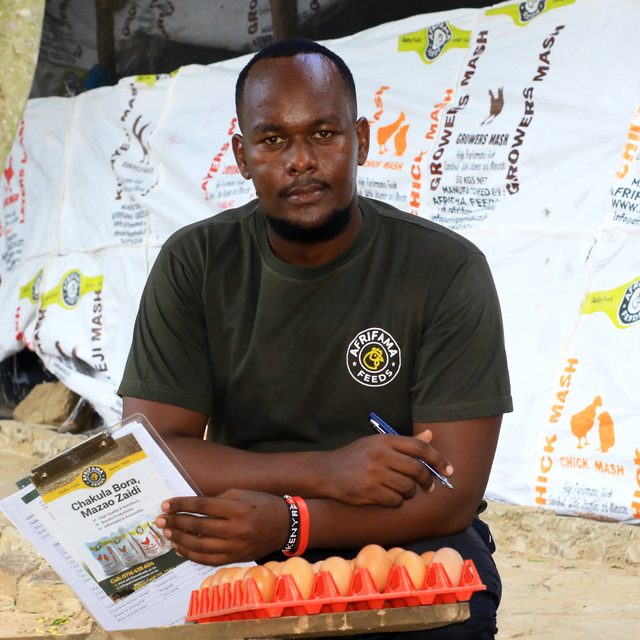 Afrifama eggs and feeds