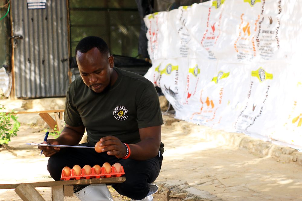 Njuguna inspecting eggs at the farm